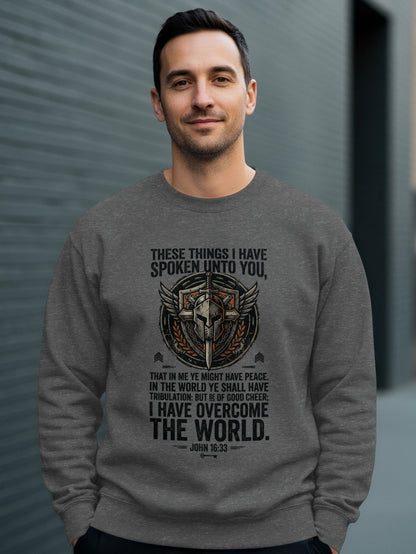 Gray sweatshirt with religious quote and shield design.