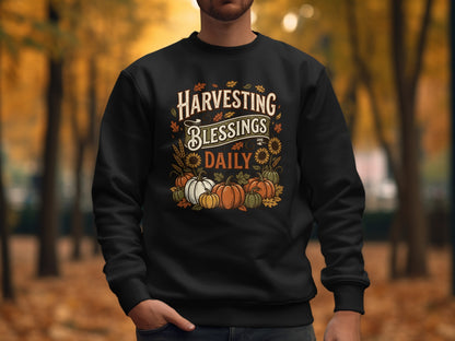 Black sweatshirt with "Harvesting Blessings Daily" text and pumpkin graphic.